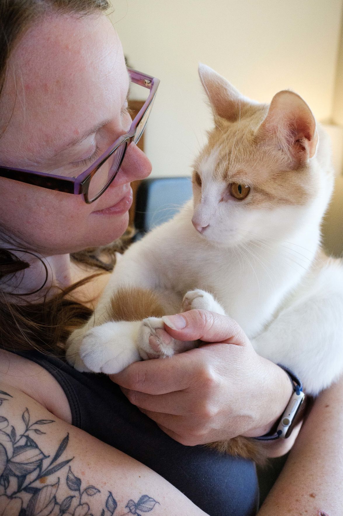 Animal adoptions during COVID-19